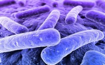 Daños colaterales: uso de antibióticos ligado a enfermedades Bacteria9-210x131